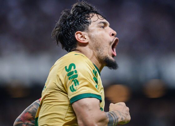 CNN Brasil