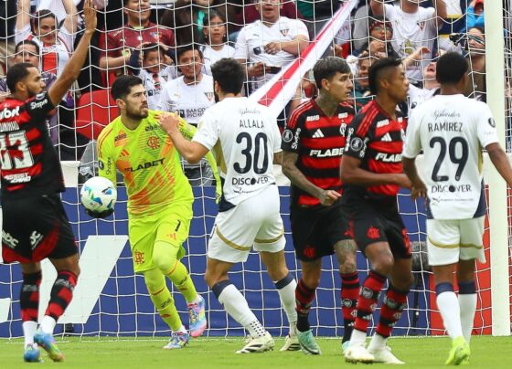 CNN Brasil