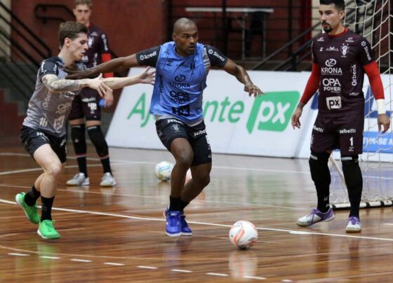 Assessoria Joinville