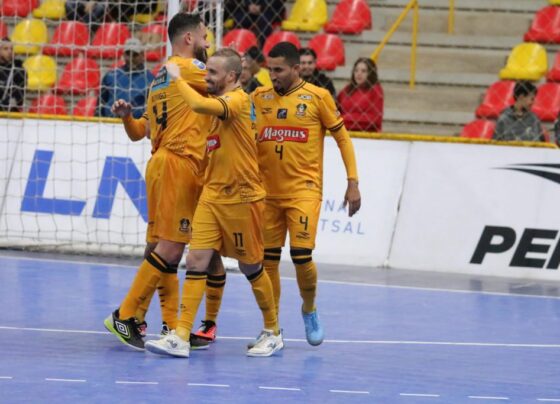 Guilherme Mansueto