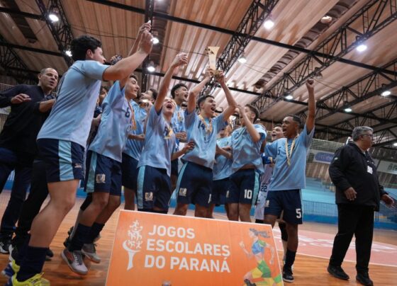 Divulgação