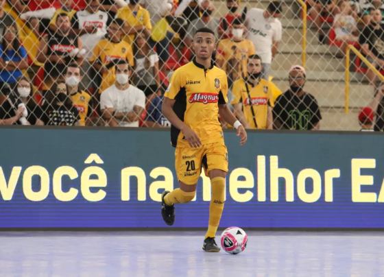 Gui Mansueto