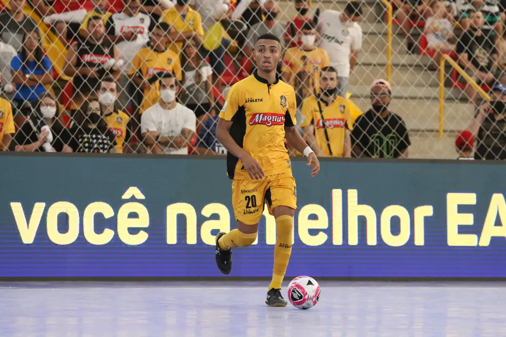 Gui Mansueto