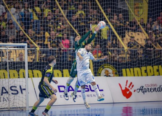 Paulinho Sauer