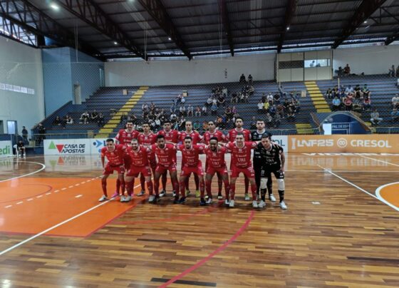 Assessoria Blumenau