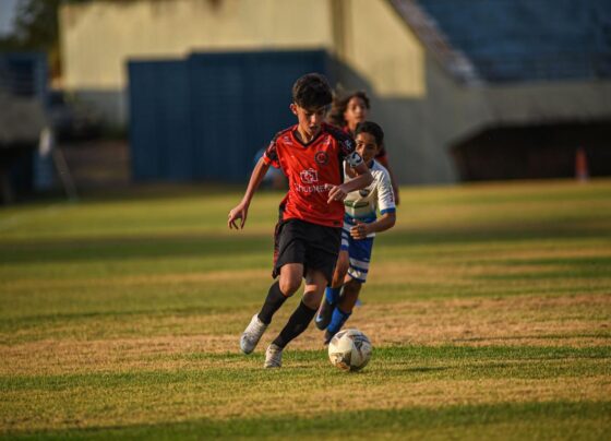 Foto: Divulgação/Flapalmas