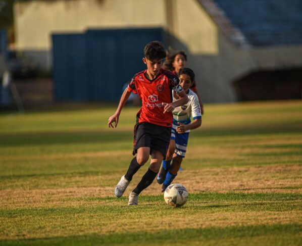 Foto: Divulgação/Flapalmas