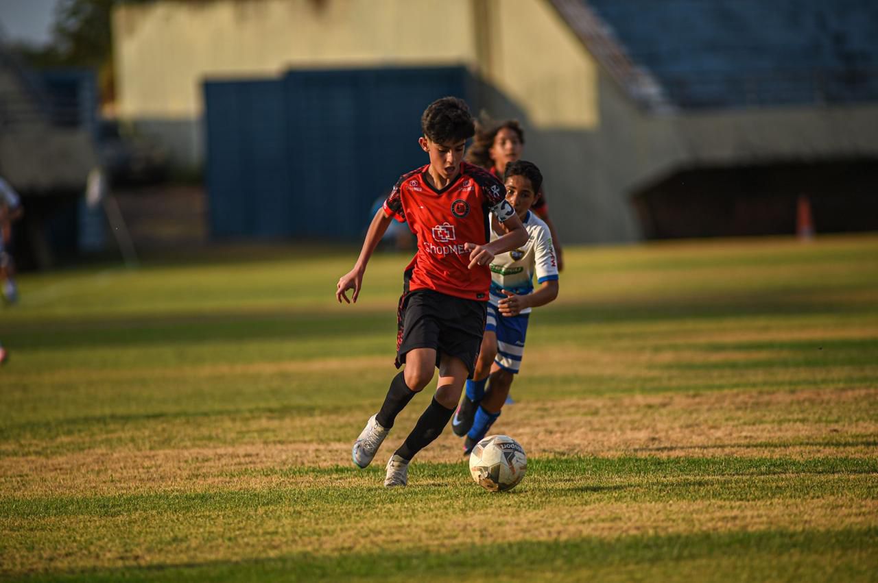 Foto: Divulgação/Flapalmas