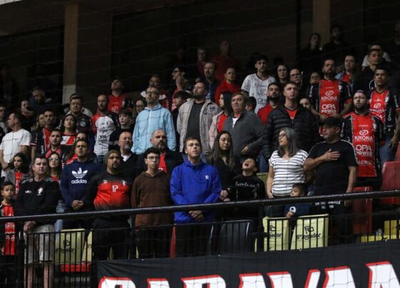 Assessoria Joinville
