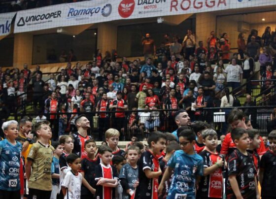 Assessoria Joinville