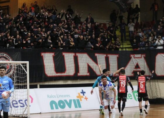 Assessoria Joinville