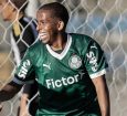 Avaí negocia empréstimo de destaque da base do Palmeiras